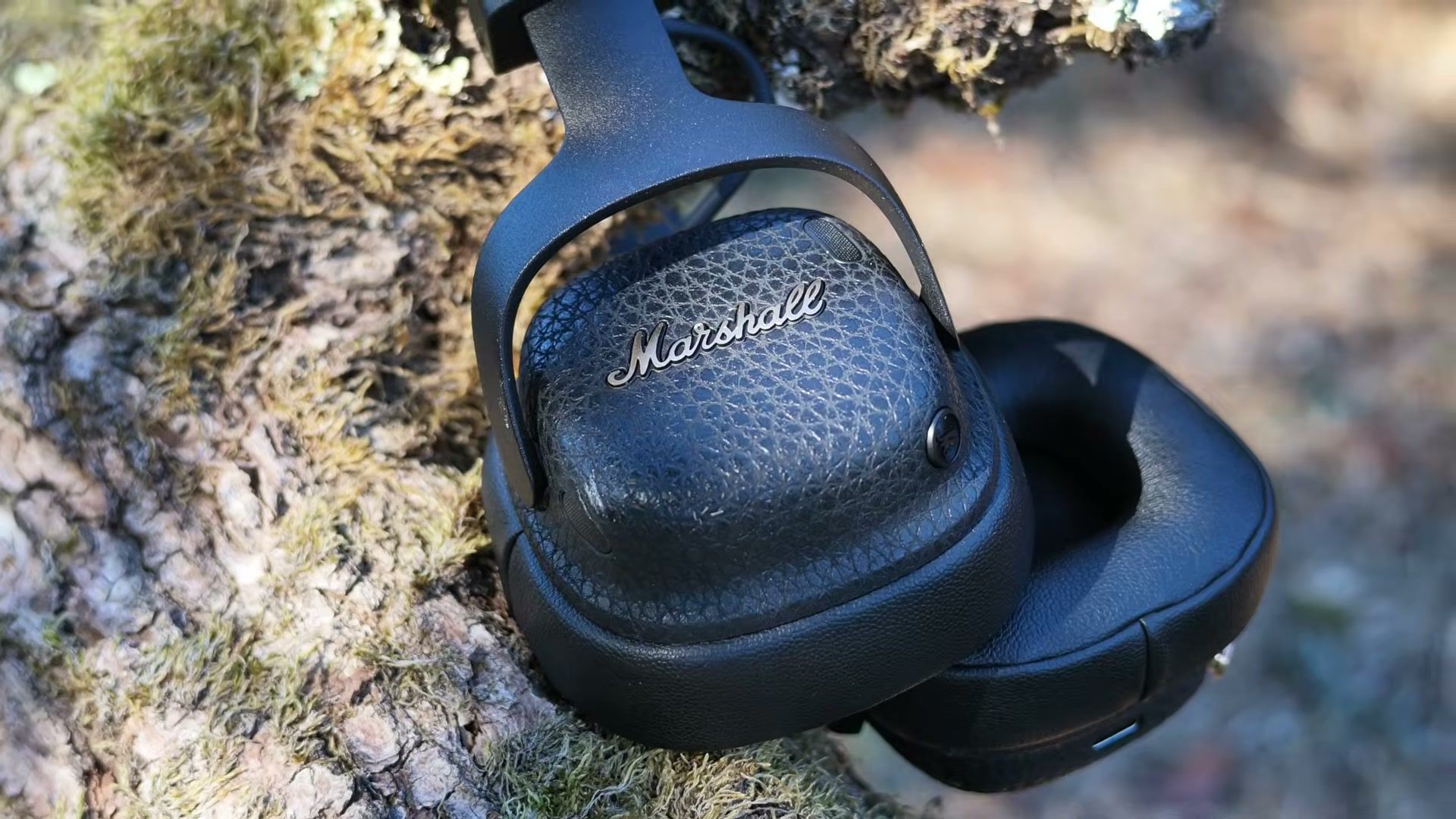Le casque Marshall Milton ANC posé sur un tronc couvert de mousse, logo Marshall en gros plan